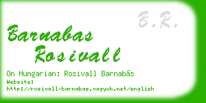 barnabas rosivall business card